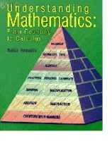 Understanding Mathematics From Counting To Calculus